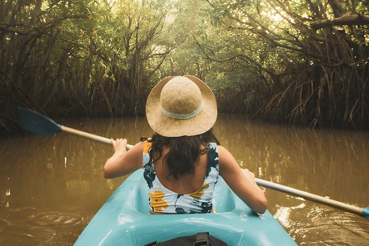 Lagoon Kayaking Tour from Negombo - Photo 1 of 6